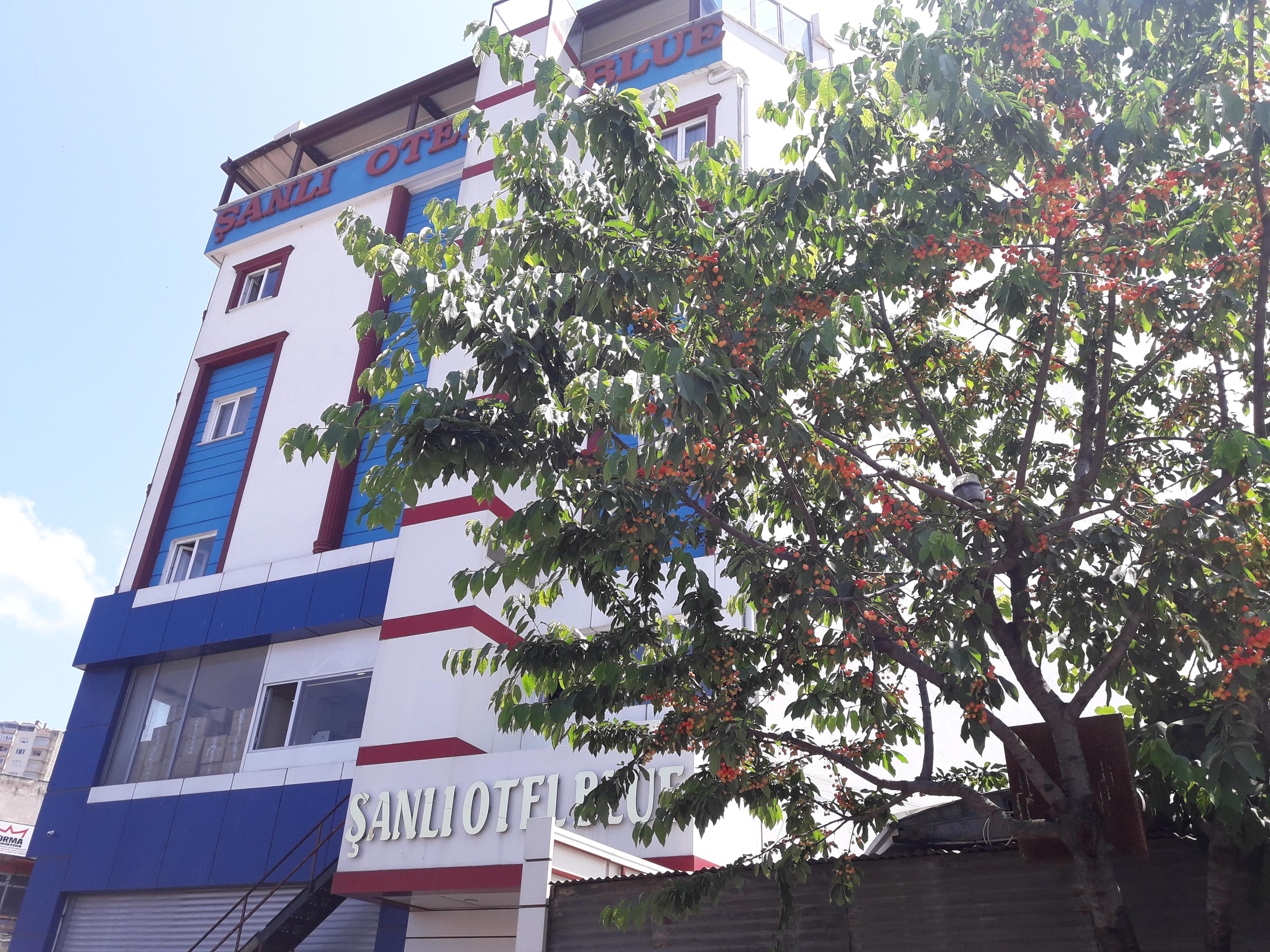 Sanli Hotel Blue Trabzon Exterior photo